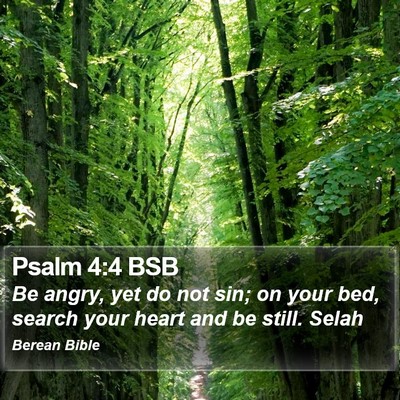 Psalm 4:4 BSB Bible Verse Image