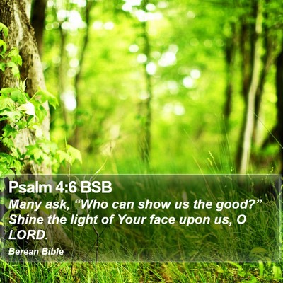 Psalm 4:6 BSB Bible Verse Image