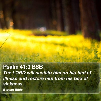 Psalm 41:3 BSB Bible Verse Image