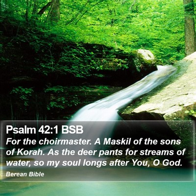 Psalm 42:1 BSB Bible Verse Image