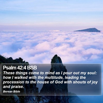 Psalm 42:4 BSB Bible Verse Image
