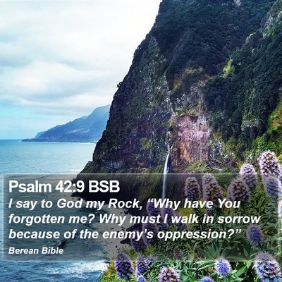 Psalm 42:9 BSB Bible Verse Image