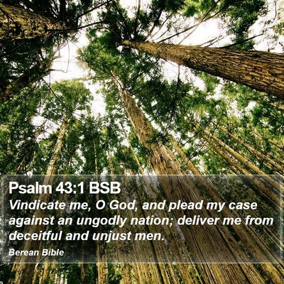 Psalm 43:1 BSB Bible Verse Image