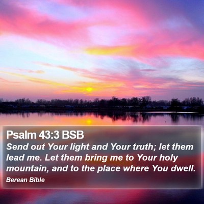 Psalm 43:3 BSB Bible Verse Image