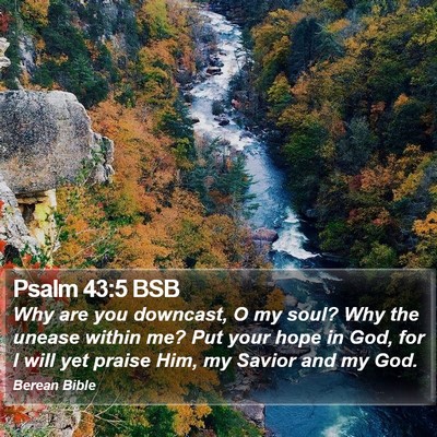 Psalm 43:5 BSB Bible Verse Image