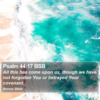 Psalm 44:17 BSB Bible Verse Image
