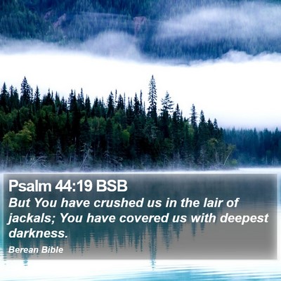 Psalm 44:19 BSB Bible Verse Image