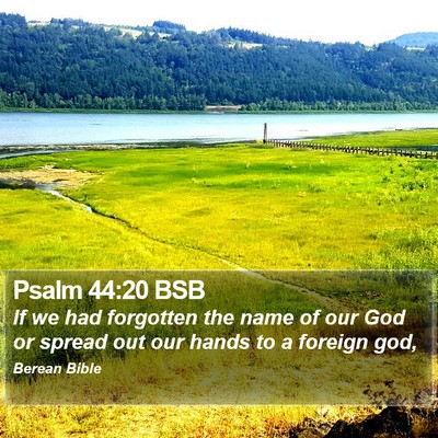 Psalm 44:20 BSB Bible Verse Image