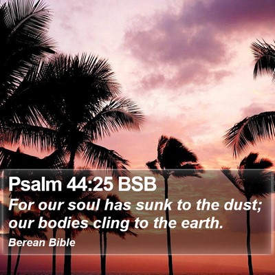 Psalm 44:25 BSB Bible Verse Image