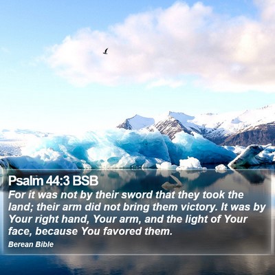 Psalm 44:3 BSB Bible Verse Image