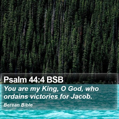Psalm 44:4 BSB Bible Verse Image