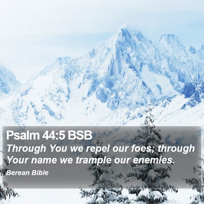 Psalm 44:5 BSB Bible Verse Image