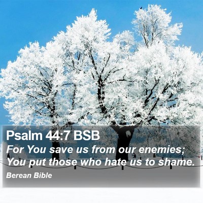 Psalm 44:7 BSB Bible Verse Image