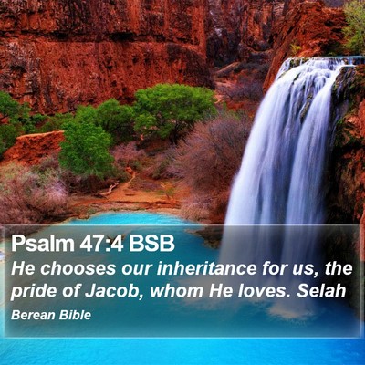 Psalm 47:4 BSB Bible Verse Image
