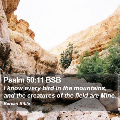 Psalm 50:11 BSB Bible Verse Image