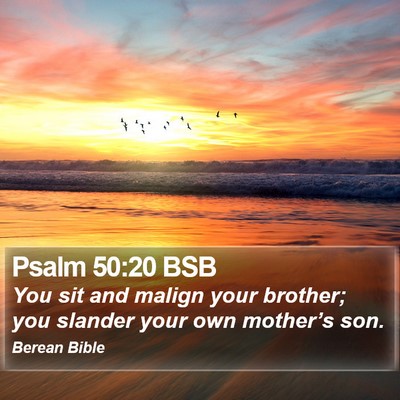 Psalm 50:20 BSB Bible Verse Image