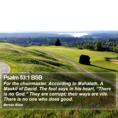 Psalm 53:1 BSB Bible Verse Image