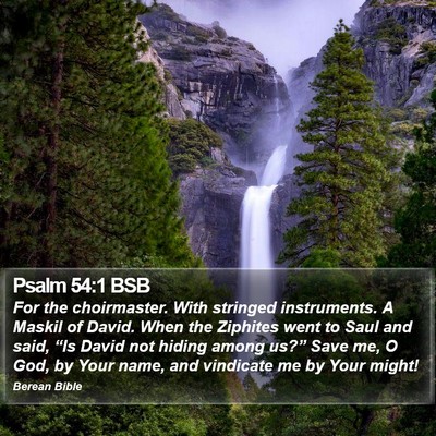 Psalm 54:1 BSB Bible Verse Image