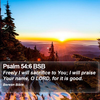 Psalm 54:6 BSB Bible Verse Image