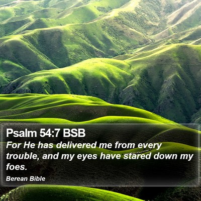 Psalm 54:7 BSB Bible Verse Image