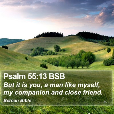 Psalm 55:13 BSB Bible Verse Image