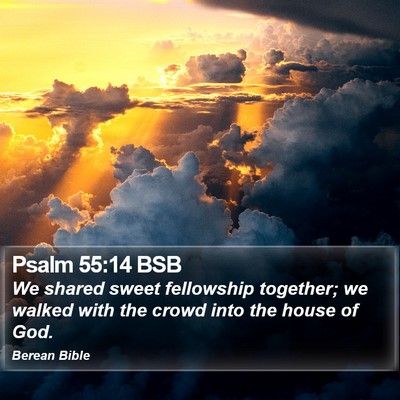Psalm 55:14 BSB Bible Verse Image