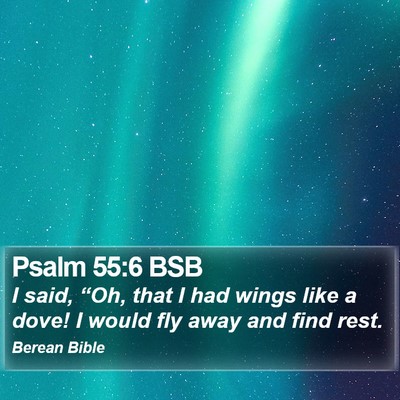 Psalm 55:6 BSB Bible Verse Image