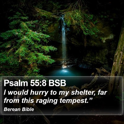 Psalm 55:8 BSB Bible Verse Image