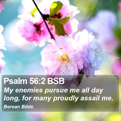 Psalm 56:2 BSB Bible Verse Image