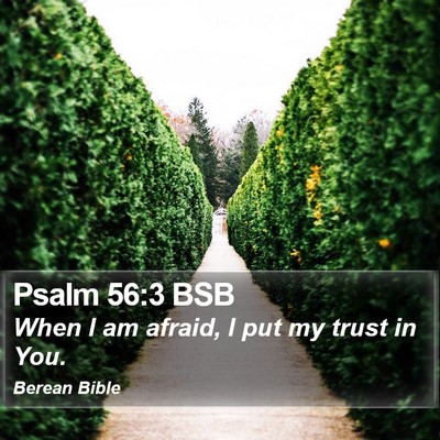 Psalm 56:3 BSB Bible Verse Image