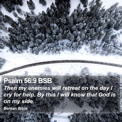 Psalm 56:9 BSB Bible Verse Image