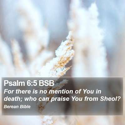 Psalm 6:5 BSB Bible Verse Image
