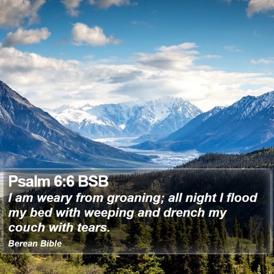 Psalm 6:6 BSB Bible Verse Image