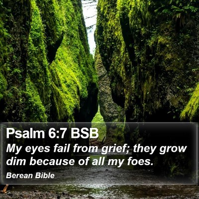 Psalm 6:7 BSB Bible Verse Image