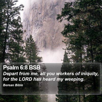 Psalm 6:8 BSB Bible Verse Image