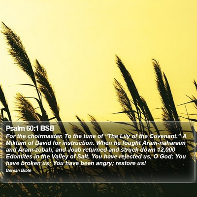 Psalm 60:1 BSB Bible Verse Image