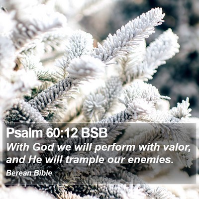 Psalm 60:12 BSB Bible Verse Image
