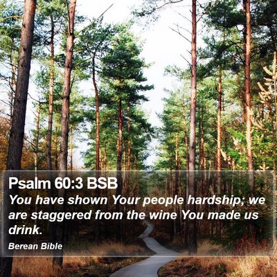 Psalm 60:3 BSB Bible Verse Image