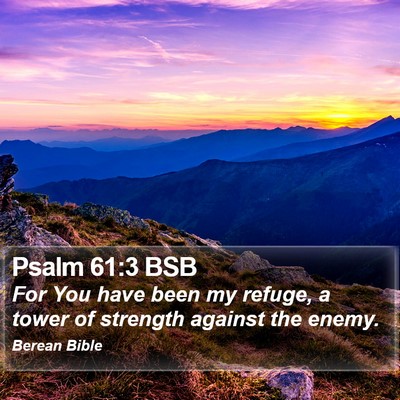 Psalm 61:3 BSB Bible Verse Image