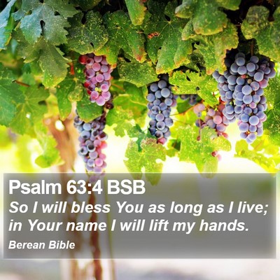 Psalm 63:4 BSB Bible Verse Image