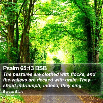 Psalm 65:13 BSB Bible Verse Image