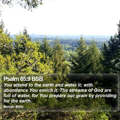 Psalm 65:9 BSB Bible Verse Image
