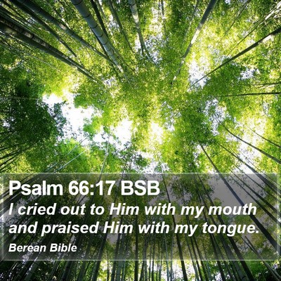 Psalm 66:17 BSB Bible Verse Image