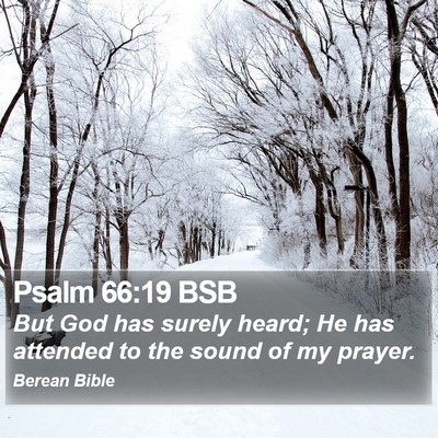 Psalm 66:19 BSB Bible Verse Image