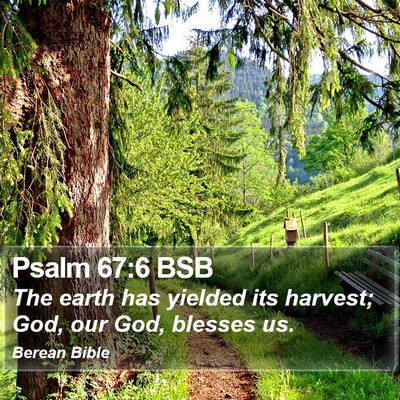 Psalm 67:6 BSB Bible Verse Image