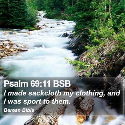 Psalm 69:11 BSB Bible Verse Image