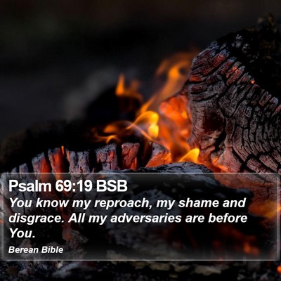 Psalm 69:19 BSB Bible Verse Image