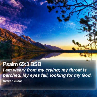 Psalm 69:3 BSB Bible Verse Image