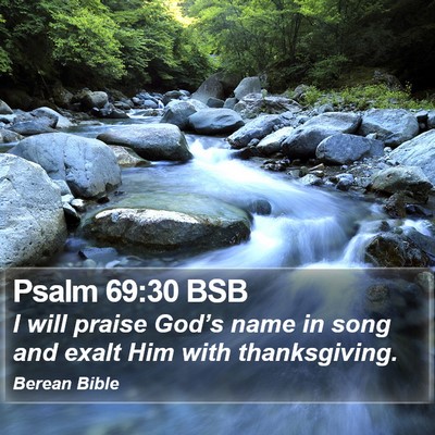Psalm 69:30 BSB Bible Verse Image