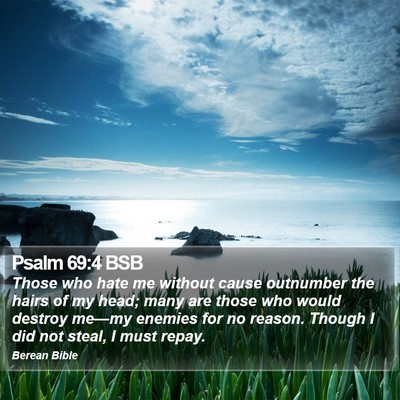Psalm 69:4 BSB Bible Verse Image